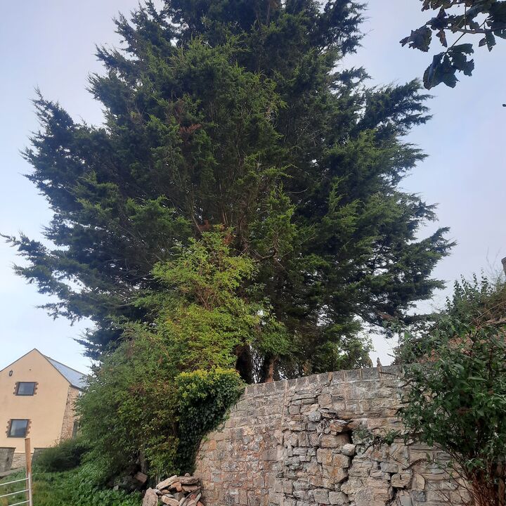 20211016_084344.jpg