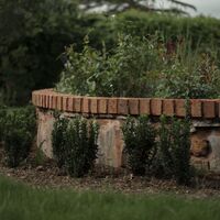 Circular stone raised bed with brick coping and young box hedging in the finished formal garden