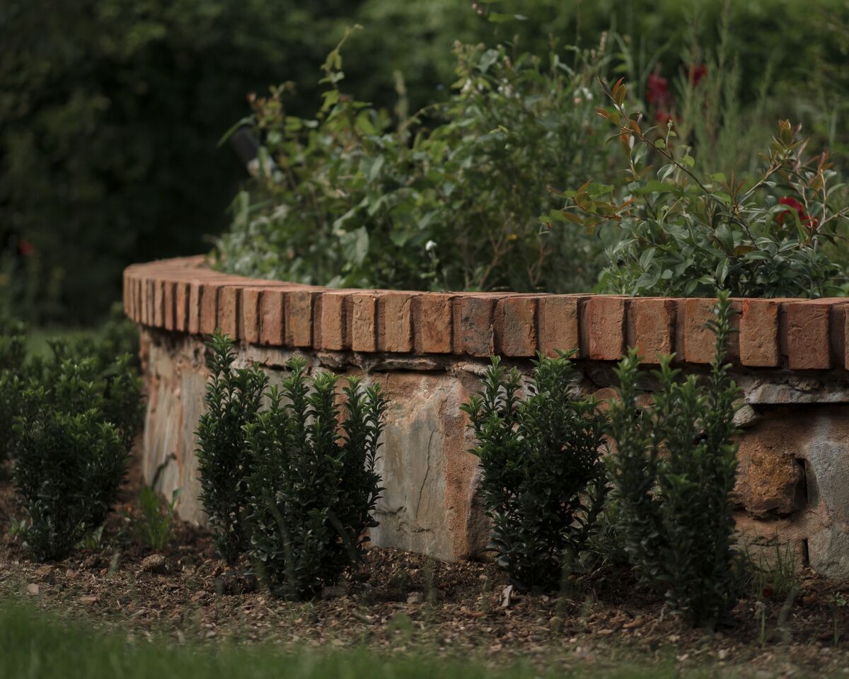 Circular stone raised bed with brick coping and young box hedging in the finished formal garden