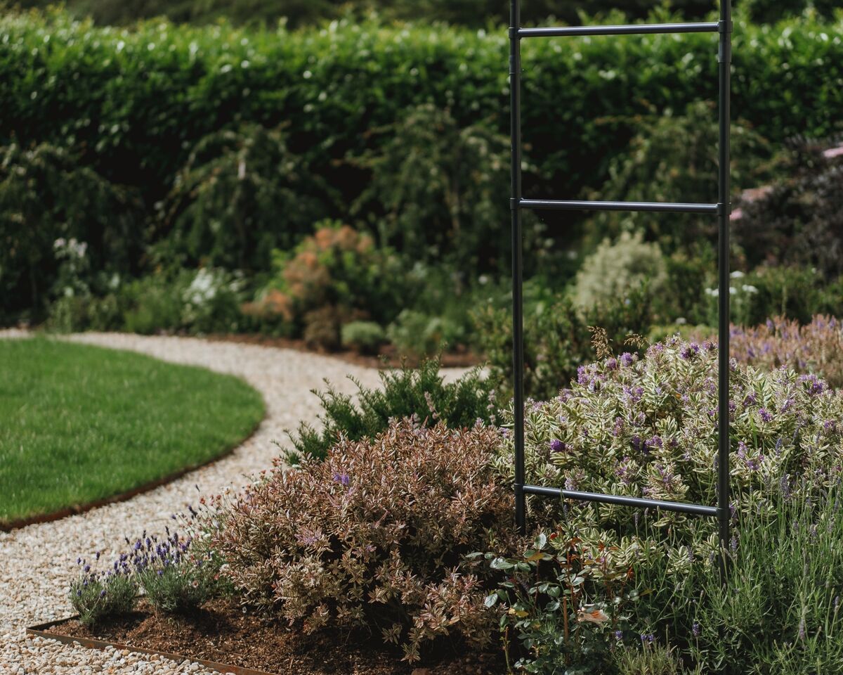 Curved gravel path edging the circular lawn beside lavender and perennial planting