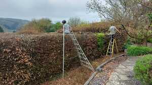 A glass greenhouse with plants, adjacent to a stone path and house, under a cloudy sky.