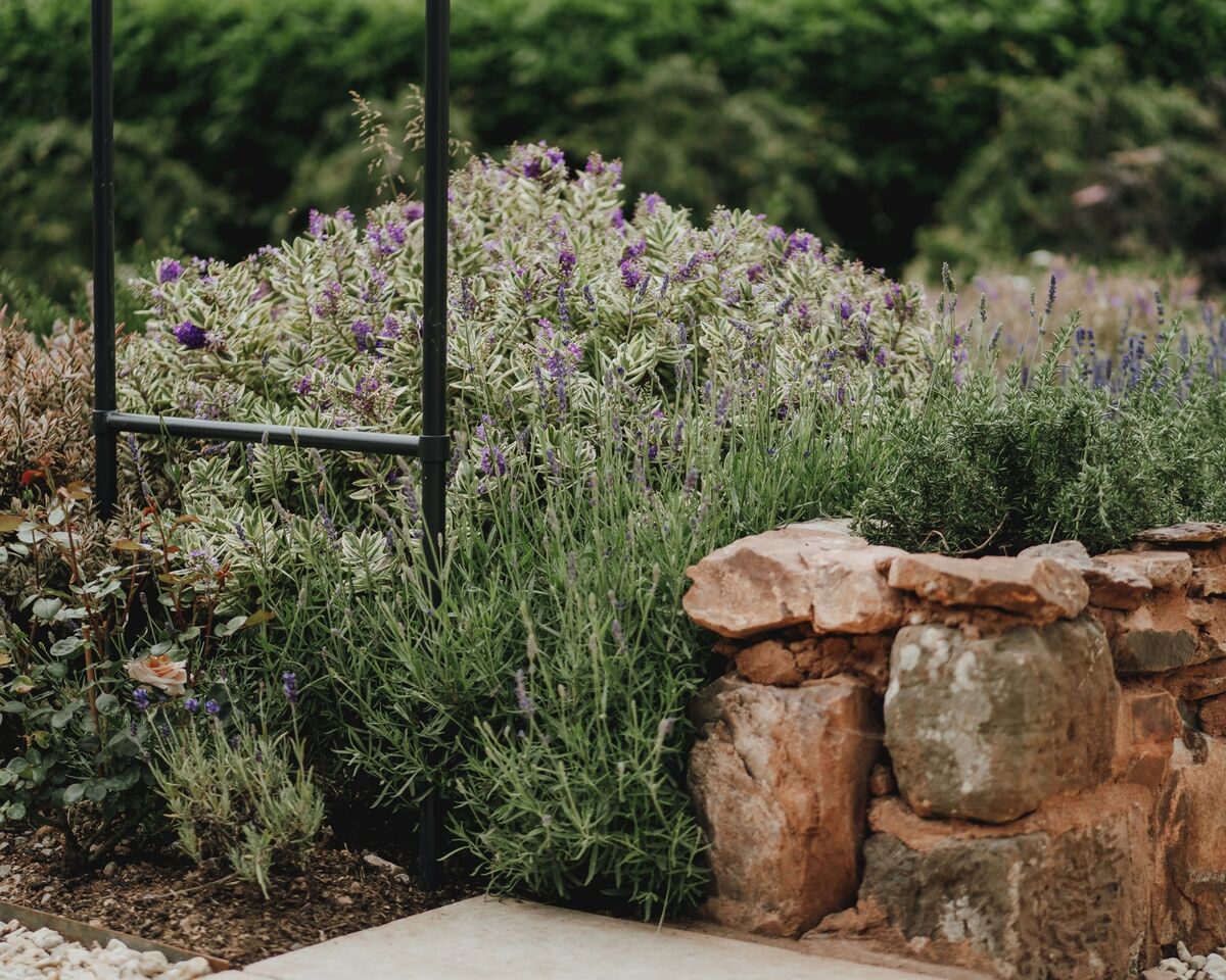 Metal obelisk above lavender and salvia planting behind a rough stone retaining edge
