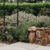 Metal obelisk above lavender and salvia planting behind a rough stone retaining edge