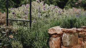 Metal obelisk above lavender and salvia planting behind a rough stone retaining edge