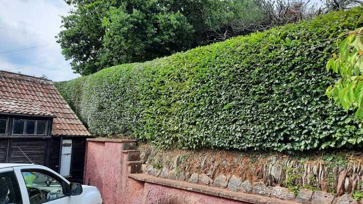 A glass greenhouse with plants, adjacent to a stone path and house, under a cloudy sky.