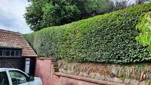 A glass greenhouse with plants, adjacent to a stone path and house, under a cloudy sky.