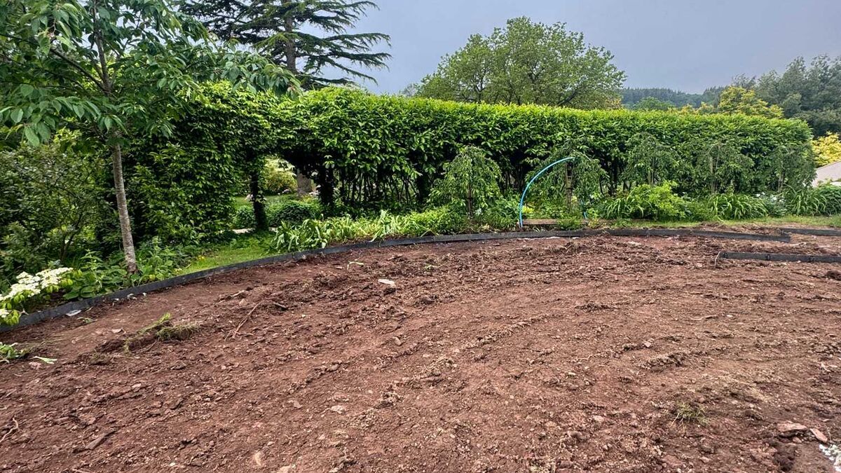 Bare, churned clay soil across a stripped garden with hedging and trees behind