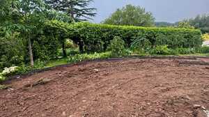 Bare, churned clay soil across a stripped garden with hedging and trees behind