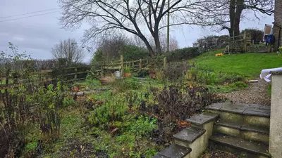 Overgrown wooden steps on a steep slope before landscaping work began