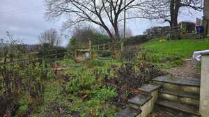 Overgrown wooden steps on a steep slope before landscaping work began