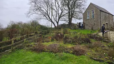 Overgrown sloping garden with bare trees and a wooden fence before landscaping, Weare, near Axbridge