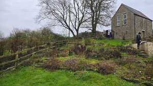 Overgrown sloping garden with bare trees and a wooden fence before landscaping, Weare, near Axbridge