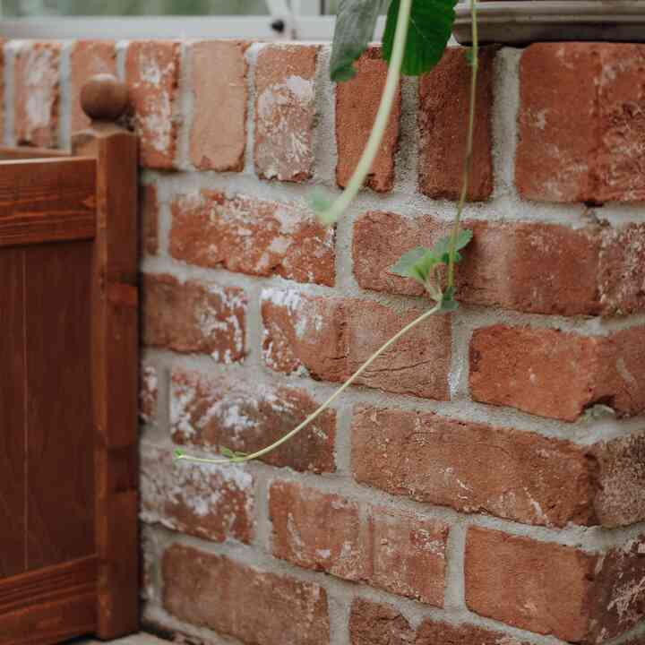 Red brick plinth and timber door frame with a young climbing plant
