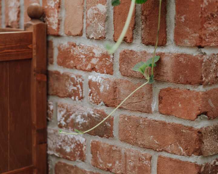 Red brick plinth and timber door frame with a young climbing plant