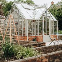 Greenhouse in the walled garden with raised beds and cane plant supports, Chard