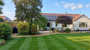 Rear garden of a Somerset bungalow with a striped lawn, mature trees, and shrubs designed by Sibley Landscapes