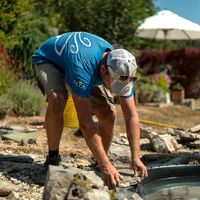 Team member placing rocks along the pond edge on a sunny day