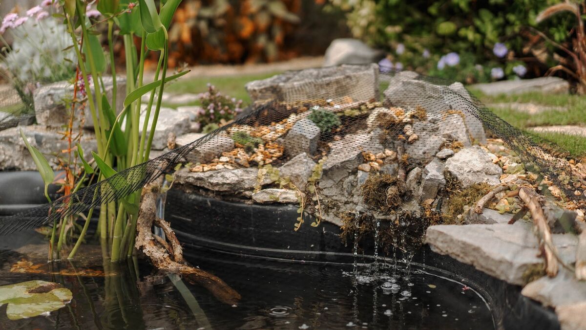 Water trickling over a stone cascade into the pond, with goldfish below