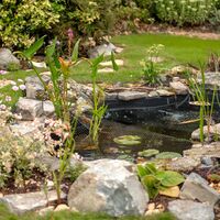 New pond framed by rocks and planting, with lawn and shrub borders behind