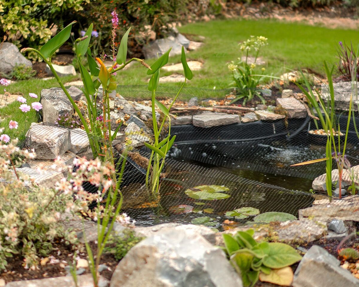 New pond framed by rocks and planting, with lawn and shrub borders behind